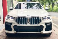 BMW X6 2021 - Cần bán xe BMW X6 sản xuất 2021, màu trắng, xe nhập số tự động giá 4 tỷ tại Hà Nội