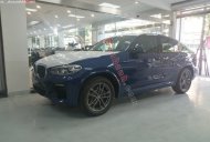 BMW X4   2020 - Bán BMW X4 đời 2020, màu xanh lam, nhập khẩu   giá 3 tỷ 79 tr tại Hà Nội