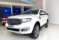 Ford Everest     2021 - Bán Ford Everest sản xuất năm 2021, màu trắng, nhập khẩu giá 1 tỷ 101 tr tại An Giang