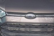 Ford EcoSport   Titanium 1.5L AT   2017 - Bán xe Ford EcoSport Titanium 1.5L AT đời 2017, màu xám  giá 445 triệu tại Tây Ninh