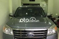 Ford Everest Limited 2009 - Xe Ford Everest Limited 2009, màu xám còn mới giá 380 triệu tại Tp.HCM