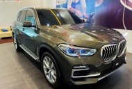 BMW X5 2021 - Bán xe BMW X5 năm sản xuất 2021, nhập khẩu nguyên chiếc giá 4 tỷ 869 tr tại Tp.HCM
