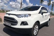 Ford EcoSport     2015 - Bán Ford EcoSport đời 2015, màu trắng còn mới giá 329 triệu tại Tiền Giang