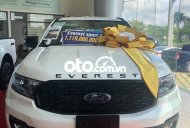 Ford Everest 2021 - Cần bán xe Ford Everest đời 2021, màu trắng, nhập khẩu giá 1 tỷ 399 tr tại Cần Thơ