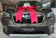 Subaru Forester 2021 - Cơ hội sở hữu Subaru Forester (SUV 5 chỗ) với ưu đãi lên đến 219 triệu đồng giá 929 triệu tại BR-Vũng Tàu
