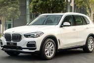 BMW X5 2020 - Xe BMW X5 new rất hot, ưu đãi hấp dẫn + hỗ trợ trả góp lãi suất thấp giá 4 tỷ 199 tr tại Tp.HCM