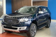 Ford Everest  Titanium 4X2 2021 - Bán Ford Everest Titanium 4X2 sản xuất 2021, nhập khẩu nguyên chiếc giá 1 tỷ 181 tr tại BR-Vũng Tàu