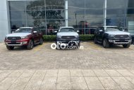 Ford Everest 2021 - Bán ô tô Ford Everest 2021, màu đen, xe nhập giá 1 tỷ 112 tr tại Bình Thuận  