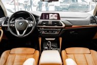BMW X4   Xdrive 20i 2019 - Bán ô tô BMW X4 Xdrive 20i năm sản xuất 2019, màu xám, nhập khẩu giá 2 tỷ 439 tr tại Hà Nội