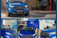 Ford EcoSport 2021 - Cần bán xe Ford EcoSport đời 2021, màu xanh lam giá 586 triệu tại An Giang