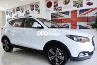 MG ZS 2020 - Bán xe MG ZS sản xuất năm 2020, xe nhập giá 495 triệu tại Tp.HCM