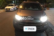 Ford EcoSport   Titanium   2015 - Cần bán Ford EcoSport Titanium đời 2015, màu xám còn mới giá 420 triệu tại Tp.HCM