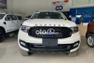 Ford Everest  Sport 2021 - Bán ô tô Ford Everest Sport sản xuất 2021, màu trắng, nhập khẩu giá 1 tỷ 112 tr tại An Giang
