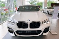 BMW X4 xDrive20i 2021 - Bán ô tô BBMW X4 xDrive20i 2021 - hỗ trợ thủ tục nhanh chóng, giao xe tận nhà giá 3 tỷ 79 tr tại Tp.HCM