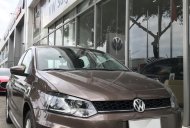 Volkswagen Polo 2021 - Thanh lý Volkswagen Polo nâu siêu lướt odo 100km; Biển TPHCM 740 triệu giá 740 triệu tại Tp.HCM
