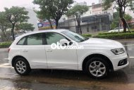 Audi Q5 AT 2013 - Bán Audi Q5 AT năm 2013, màu trắng, nhập khẩu còn mới giá 790 triệu tại Đà Nẵng