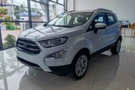 Ford EcoSport 2021 - Hỗ trợ 100% phí trước bạ, ưu đãi hấp dẫn trong tháng, xe sẵn giao ngay giá 603 triệu tại Tp.HCM