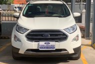 Ford EcoSport Titanium 1.0 Ecoboost 2018 - Bán xe Ford Ecosport 1.0L đăng kí 2018, bảo hành chính hãng giá 505 triệu tại Bình Thuận  