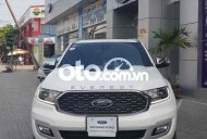 Ford Everest 2021 - Bán Ford Everest TItanium 2.0L năm 2021, màu trắng, nhập khẩu nguyên chiếc giá 1 tỷ 359 tr tại Kiên Giang