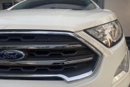 Cần bán xe Ford EcoSport Titanium 1.5L AT gia đình sử dụng - Siêu lướt giá 548 triệu tại Tp.HCM