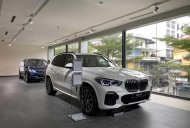 BMW X5 2022 - [BMW Hải Phòng] BMW X5 - Mẫu SUV đẳng cấp, sang trọng, nhưng không kém phần năng động giá 4 tỷ 119 tr tại Hải Phòng