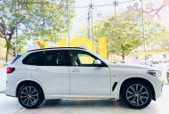 BMW X5 2022 - BMW X5 2022, xe siêu đẹp, nhập khẩu nguyên chiếc giá 4 tỷ 479 tr tại Hải Phòng