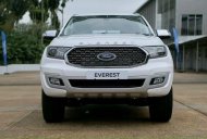 Ford Everest 2022 - Bán Ford Everest năm 2022, màu trắng giá 1 tỷ 193 tr tại Khánh Hòa