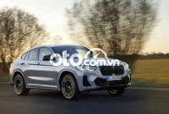 BMW X4 2021 - Màu bạc, xe nhập giá 3 tỷ 279 tr tại Tp.HCM