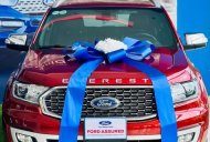 Ford Everest 2020 - Đăng ký lần đầu 2021 giá 1 tỷ 150 tr tại Tây Ninh