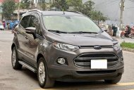 Ford EcoSport 2017 - Màu xám, giá 450tr giá 450 triệu tại Thái Nguyên