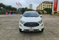 Ford EcoSport 2019 - Màu trắng, chính chủ giá 615 triệu tại Hà Nam
