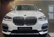 BMW X5 2020 - Màu trắng, xe nhập giá 4 tỷ 239 tr tại Tp.HCM