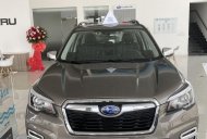 Subaru Forester 2022 - Giá tốt nhất - Sẵn xe giao ngay giá 1 tỷ 104 tr tại BR-Vũng Tàu