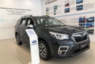 Subaru Forester 2022 - Giảm thêm 10 triệu, đủ màu, sẵn xe giao ngay - Nhập khẩu, bảo hành 5 năm giá 899 triệu tại Hà Giang