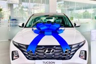 Hyundai Tucson 2022 - Màu trắng - 1 xe duy nhất giao ngay giá 1 tỷ 20 tr tại Vĩnh Long