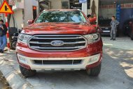 Ford Everest 2019 - Đăng ký 1 chủ ít sử dụng - Full option giá 840 triệu tại Hà Nội