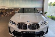BMW X4 2022 - Xe hot có sẵn giao ngay quà tặng hấp dẫn giá 3 tỷ 499 tr tại Bình Dương