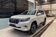 Toyota Land Cruiser Prado 2022 - Bán Toyota Land Cruiser Prado năm 2022, màu trắng, nhập khẩu nguyên chiếc giá 2 tỷ 559 tr tại Tp.HCM