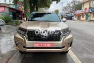 Toyota Land Cruiser Prado 2013 - Cần bán xe Toyota Land Cruiser Prado TX-L năm 2013, màu vàng đồng, xe nhập giá 1 tỷ 186 tr tại Phú Thọ