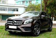 Mercedes-Benz GLA 250 2017 - Màu nâu giá 1 tỷ 225 tr tại Hà Nội
