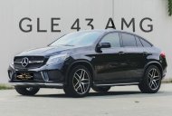 Mercedes-Benz GLE 43 2017 - Màu đen, xe nhập số tự động giá 2 tỷ 999 tr tại Tp.HCM