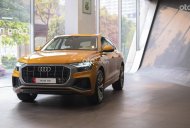 Audi Q8 2022 - Ưu đãi hấp dẫn, sẵn xe nhiều màu tại showroom giá 4 tỷ 750 tr tại Đà Nẵng