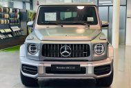 Mercedes-Benz G63 2022 - Xe có ngay, mới 100% giá 10 tỷ 950 tr tại Tp.HCM