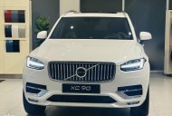 Volvo XC90 2022 - Ưu đãi hấp dẫn cuối năm - Sẵn xe giao ngay, tặng bộ phụ kiện, quà tặng chính hãng Volvo giá 4 tỷ 50 tr tại Tp.HCM