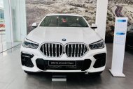 BMW X6 2022 - Mới 100% - Đủ màu giao ngay - Hỗ trợ bank 80% 8 năm giá 5 tỷ 49 tr tại Hà Nội