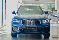 BMW X5 2022 - Giá giảm cực sốc, quà tặng đầy đủ cho khách liên hệ em sớm giá 4 tỷ 19 tr tại Tp.HCM