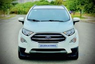 Ford EcoSport 2019 - Màu trắng giá 519 triệu tại Tp.HCM