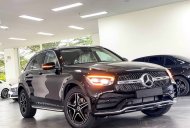 Mercedes-Benz GLC 300 2023 - Nhận quà liền tay - Trao ngay ưu đãi - Duy nhất tháng 2 giá 2 tỷ 639 tr tại BR-Vũng Tàu