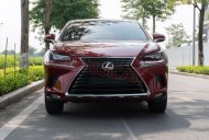 Lexus NX 300 2018 - Một chủ sử dụng từ mới giá 2 tỷ 260 tr tại Hà Nội