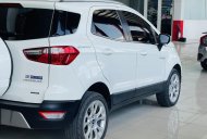 Ford EcoSport 2020 - Màu trắng, giá cực tốt giá 565 triệu tại Cần Thơ